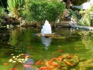 The Club كيرينيا